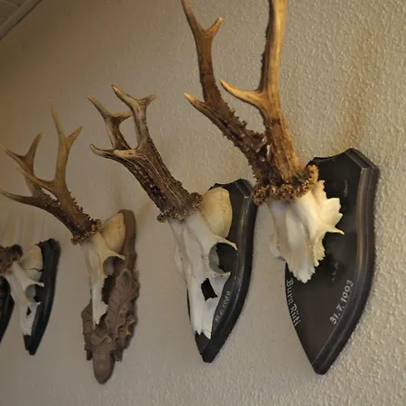 Restaurant Roessle 3*