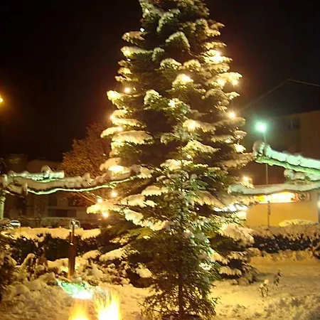 Restaurant Roessle فندق