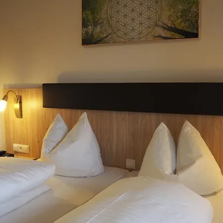 Hotel Restaurant Roessle 3*